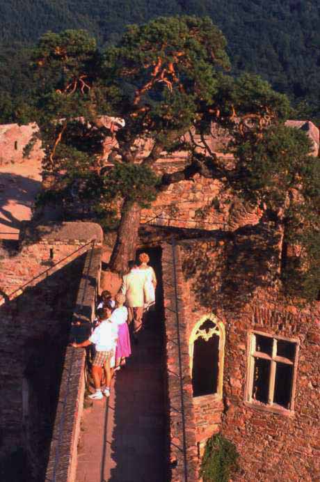 Auerbacherschloss